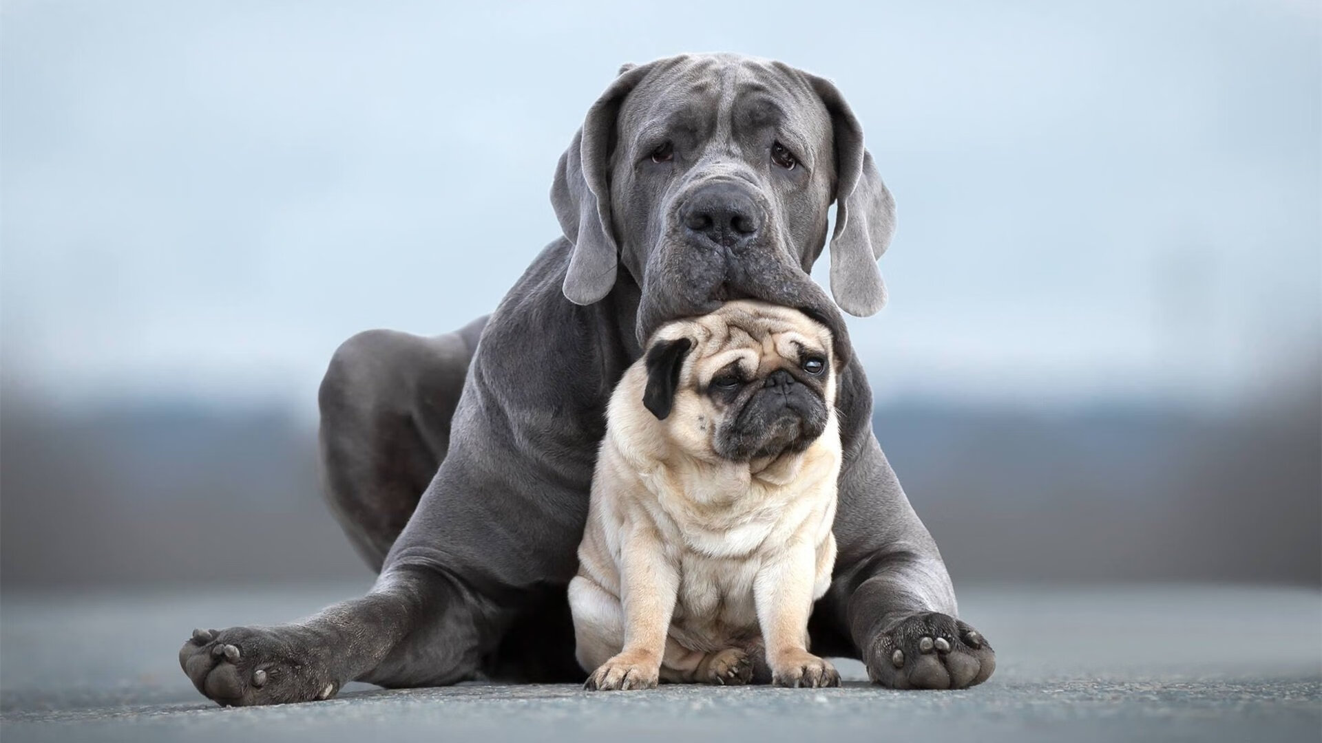 _骑士核心不断突破，年轻力量渐露锋芒_，骑士ehlo
