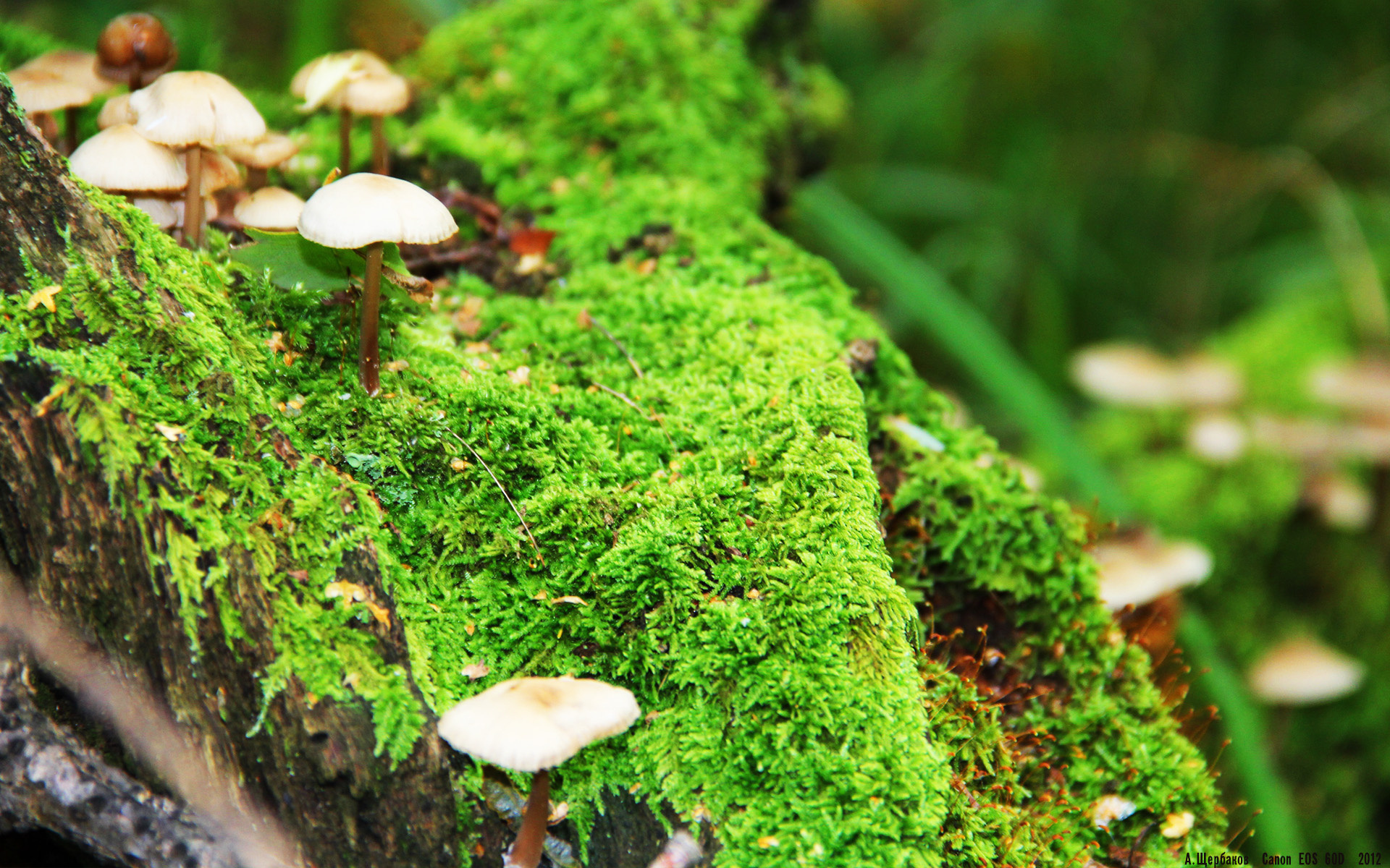 “中超俱乐部启动新的青训合作计划,增强人才储备”,中超球队青训