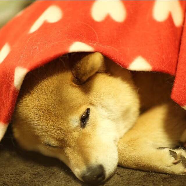 “弯道飞旋:漂移中的速度极限”,3d弯道漂移赛