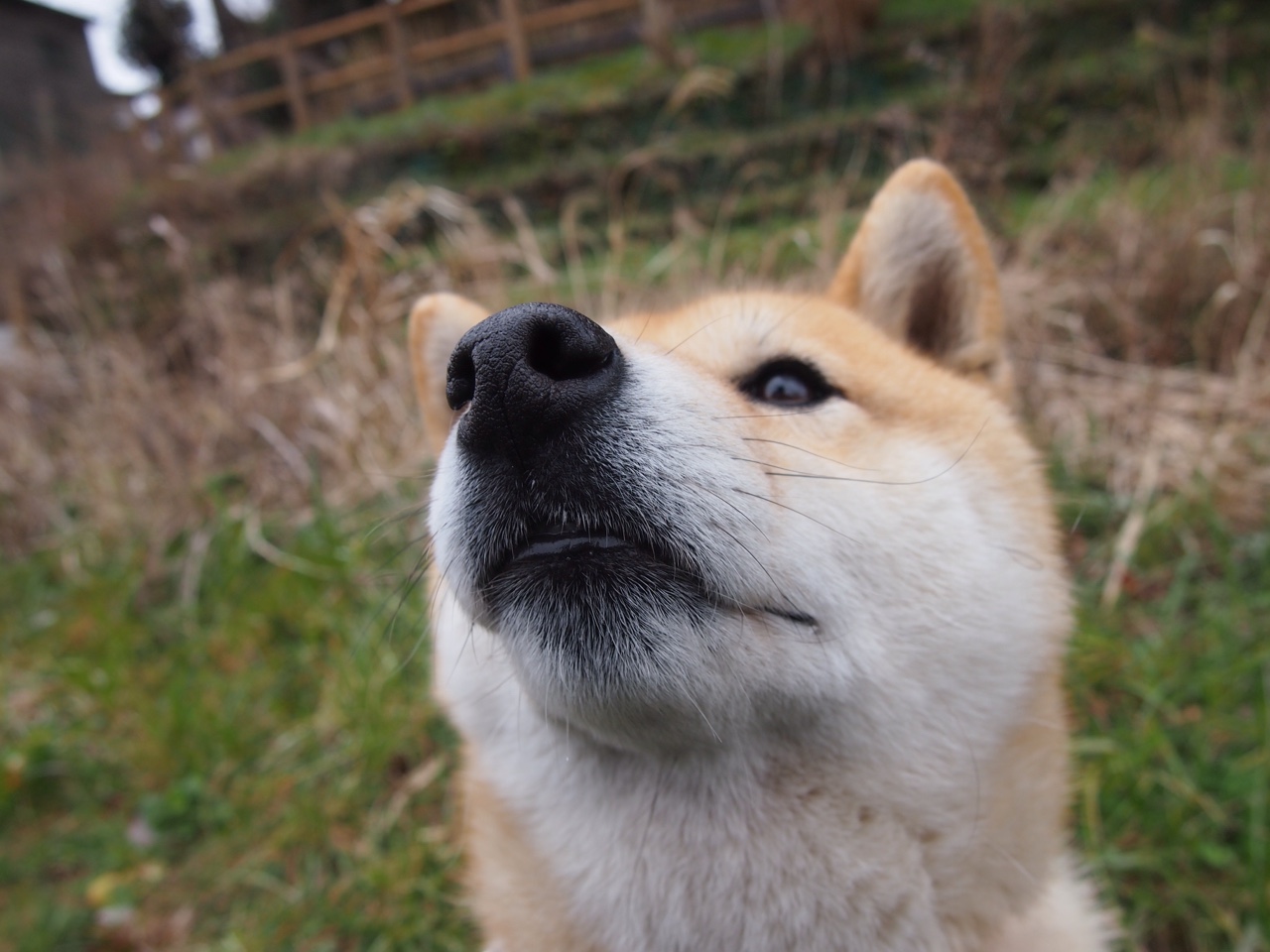 篮球青少年培训体系科学化建设，篮球青少年培训体系科学化建设方案