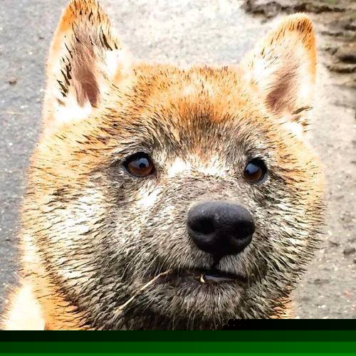 费城76人“新星”恩比德带队再登巅峰!,费城76人 恩比德受伤