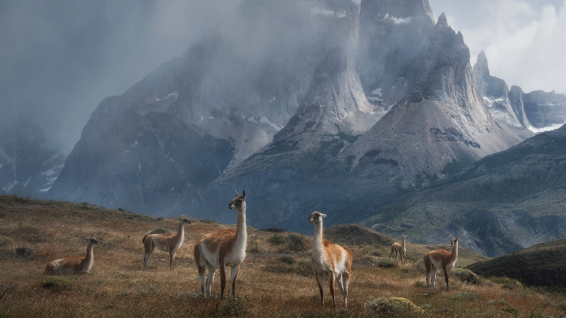 爱游戏官网-三分球成为全球篮球比赛的制胜法宝，篮球比赛三分球是什么意思