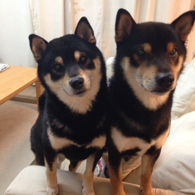 世界女足锦标战激情上演,豪情壮志赛前一切,世界女子足球锦标赛