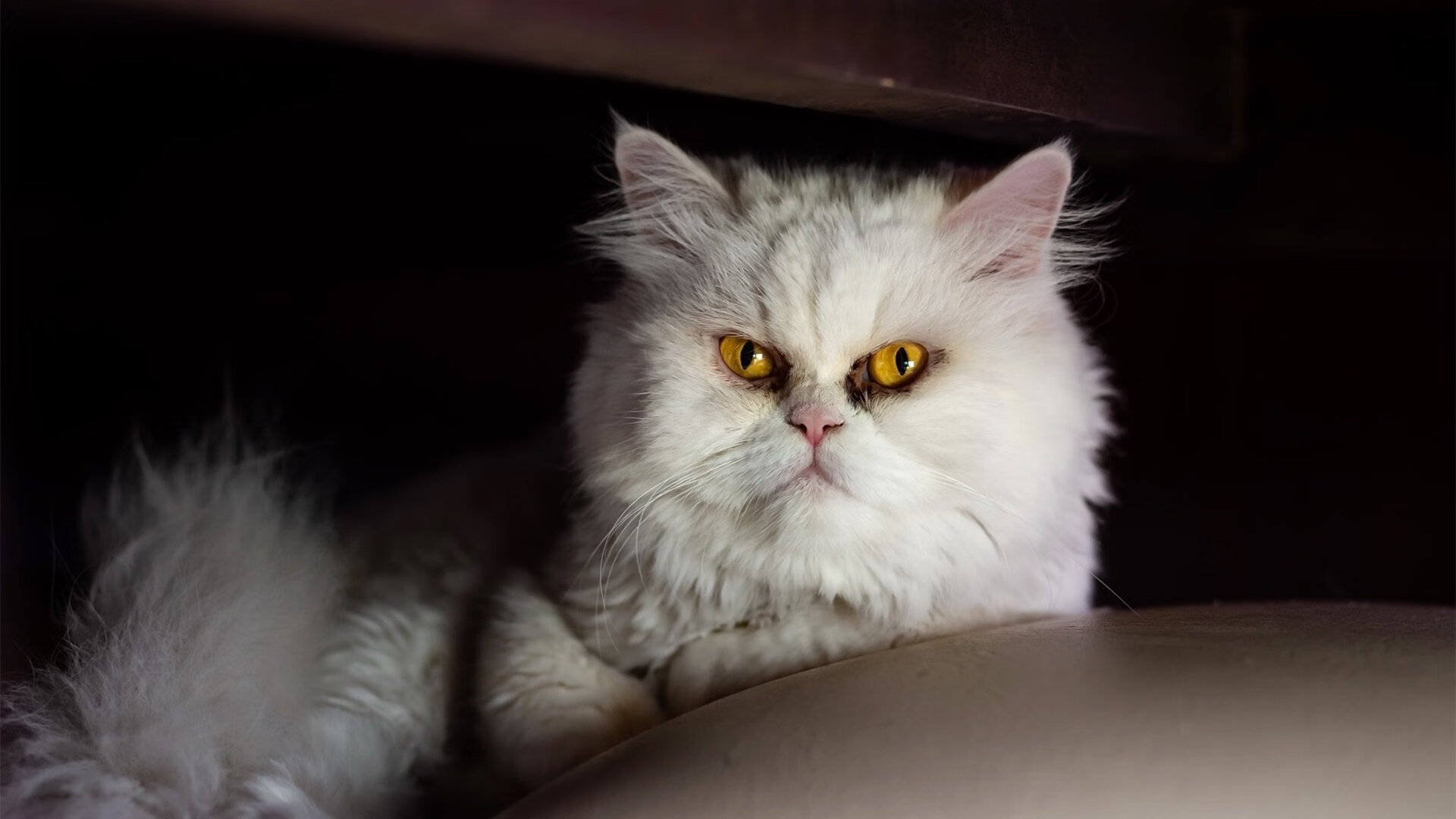 中超球队强化中场控制力,提升比赛节奏,中超主客场如何编排