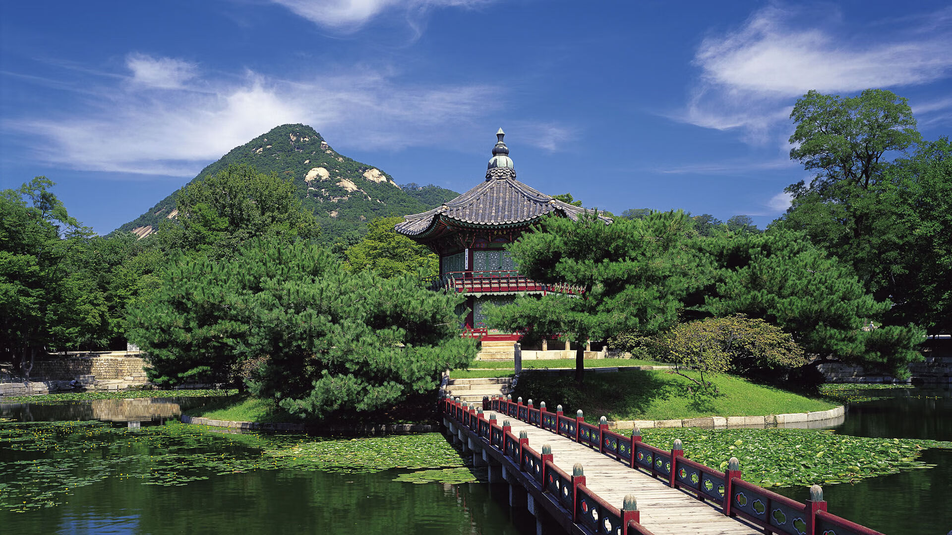 爱游戏体育app-南非选手誓死不退，争取胜利，南非队长