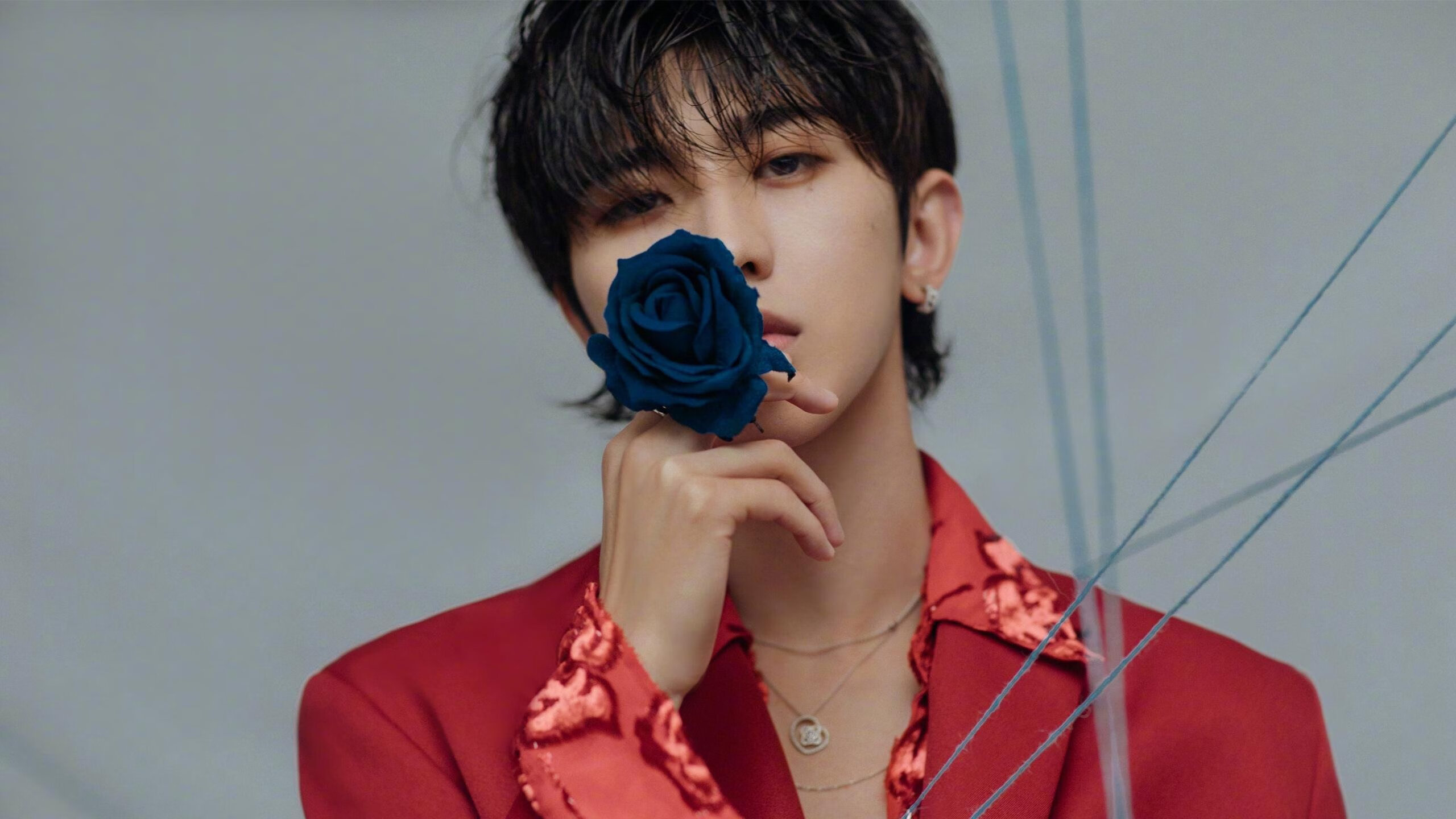 山东泰山防守体系优化,山东 泰山队