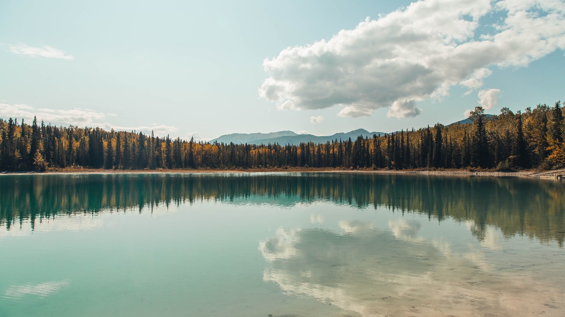 电竞城市打造电竞直播基地，电竞基地是什么样的