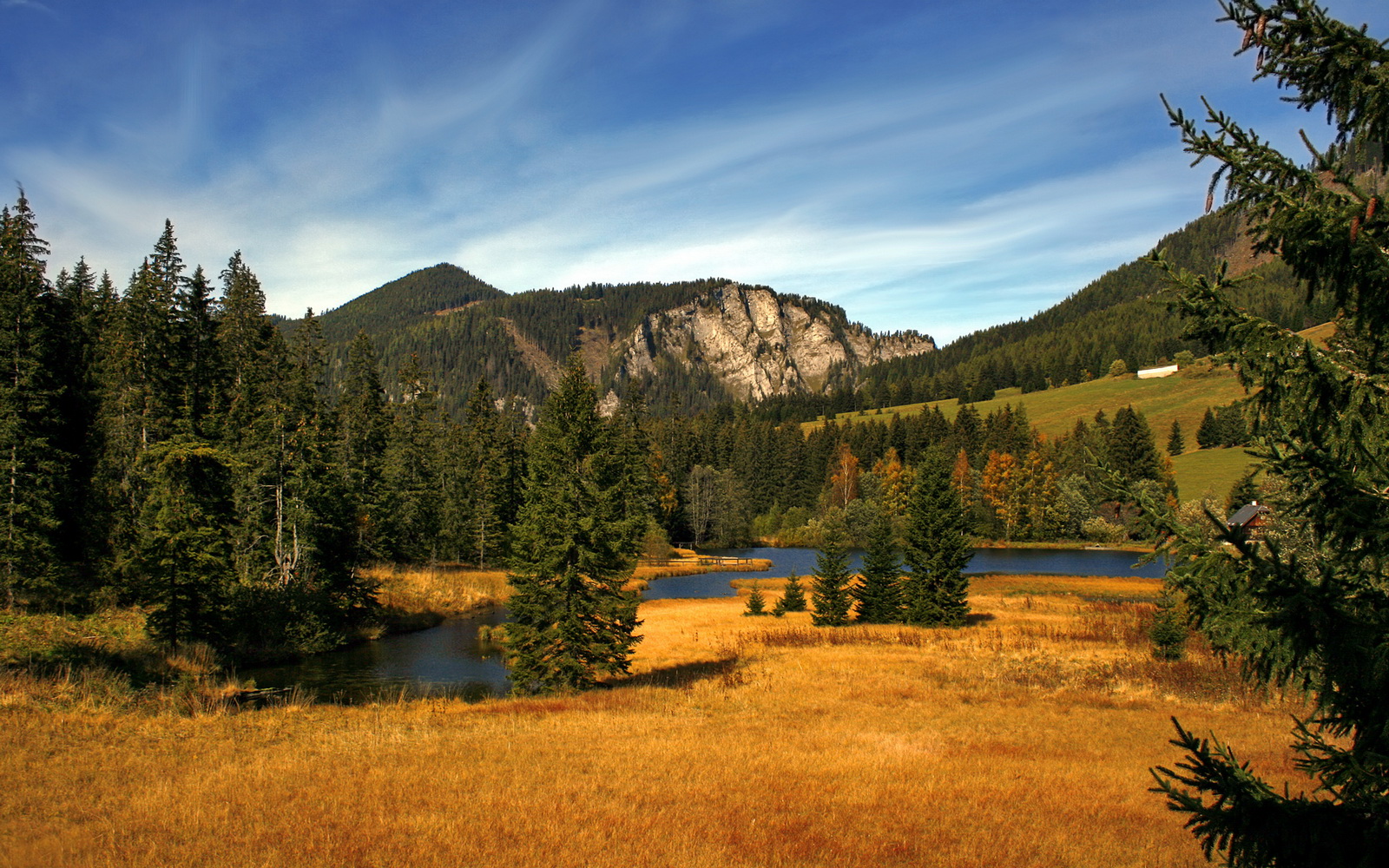 爱游戏app下载-赛场上法国球员实力抢眼，引起球迷热议，赛场上法国球员实力抢眼,引起球迷热议的原因