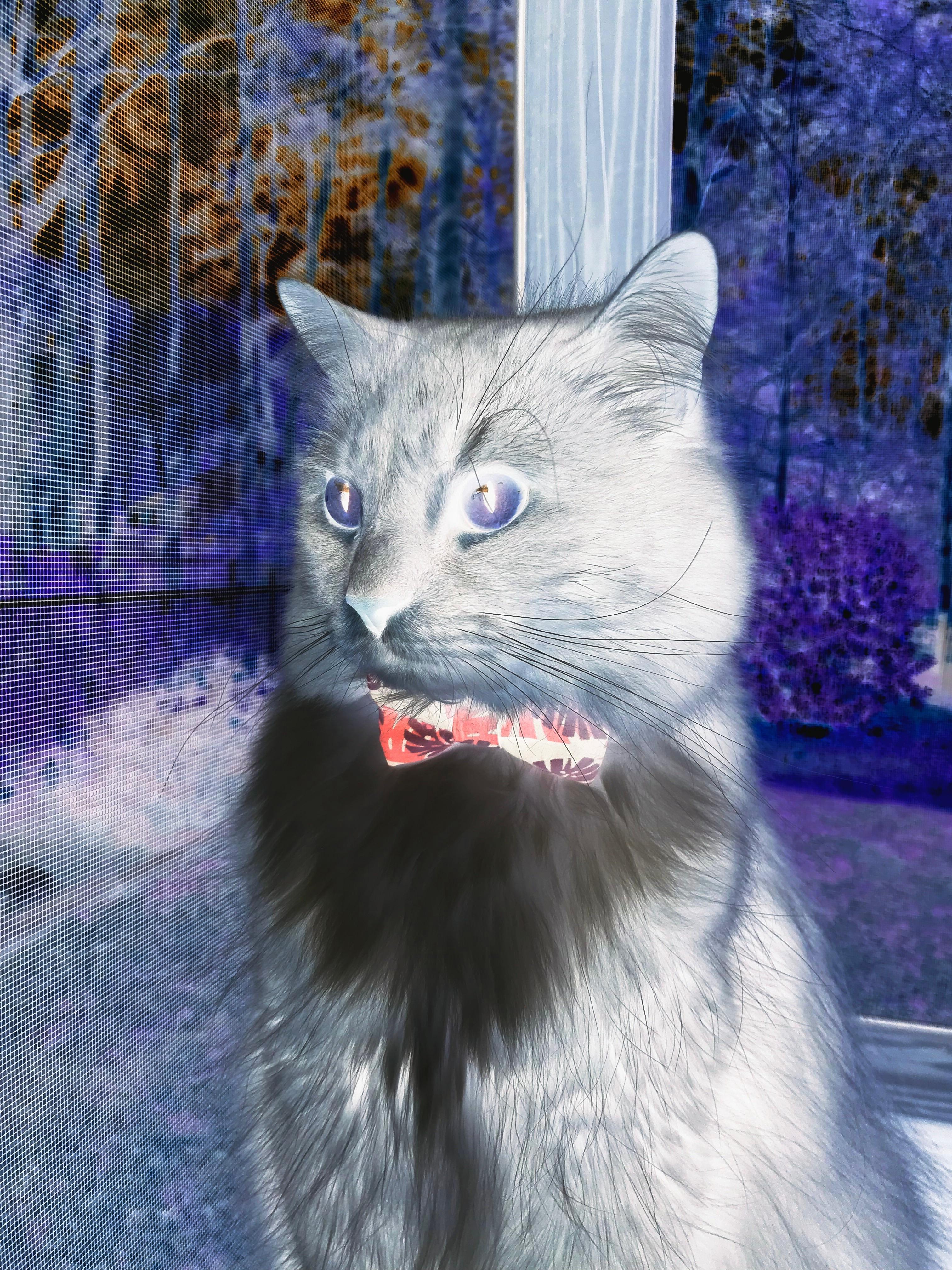 中超主力球员伤病恢复期数据研究，中超恢复主客场