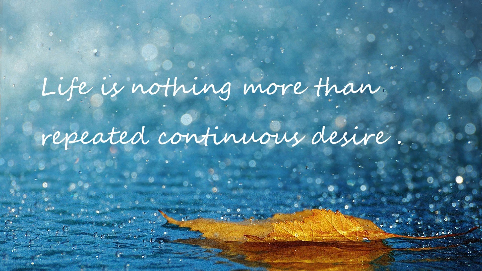 篮球赛事中的裁判判罚行为研究,篮球比赛裁判判罚