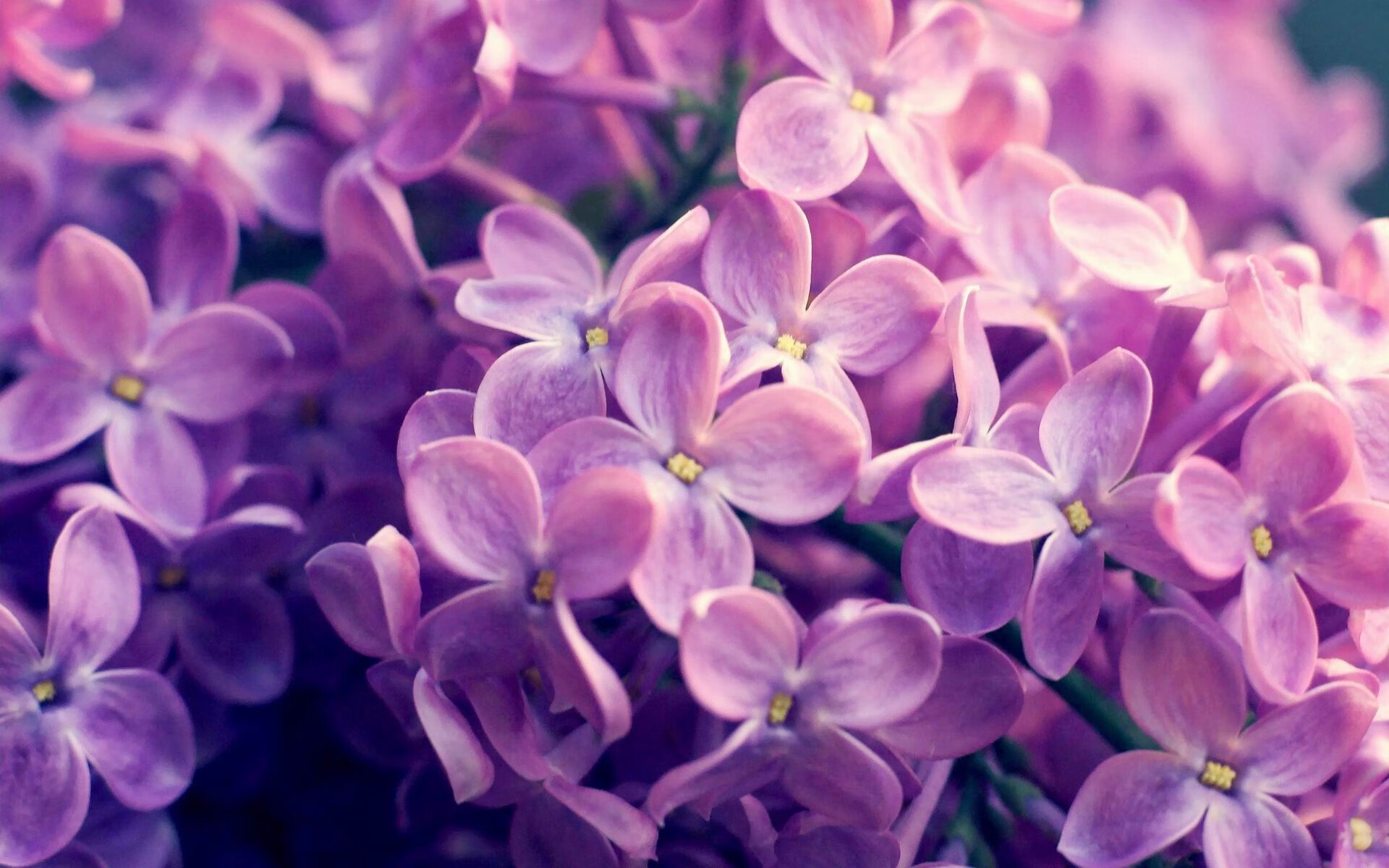 西甲裁判语义分析助力减少误判率的实践研究,西甲裁判数据