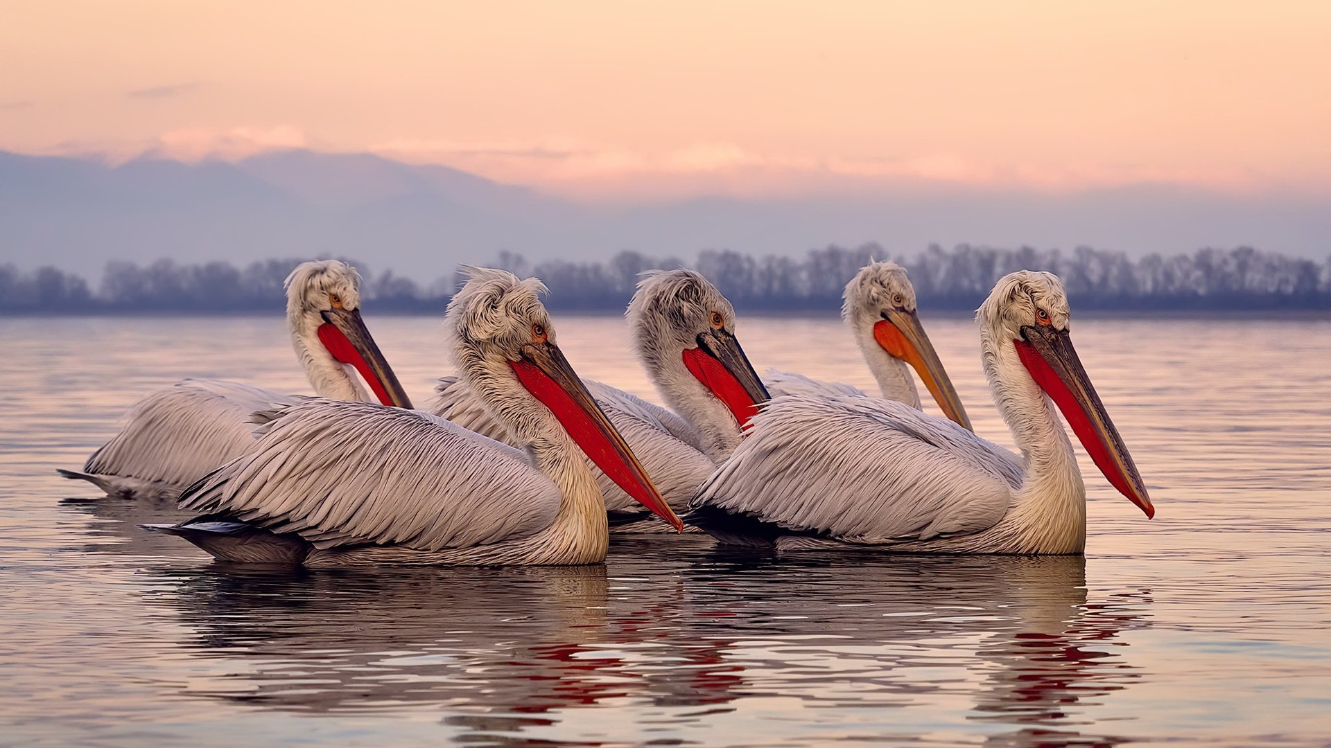 东亚杯U23国足晋级 球员表现备受认可,东亚杯国足3比0韩国