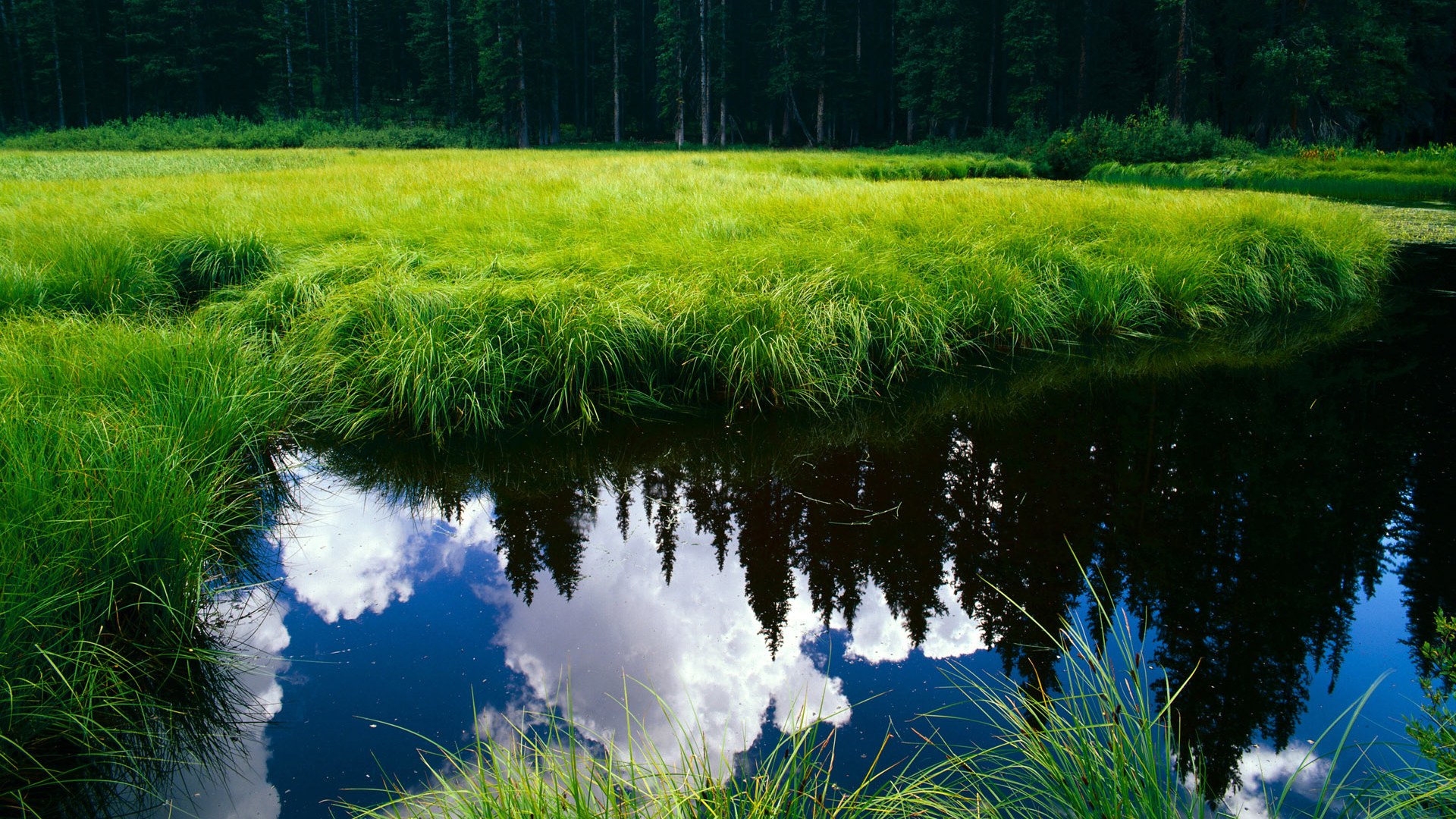 中国女篮热身赛全胜 阵容稳定信心提升,中国女篮wnba热身赛