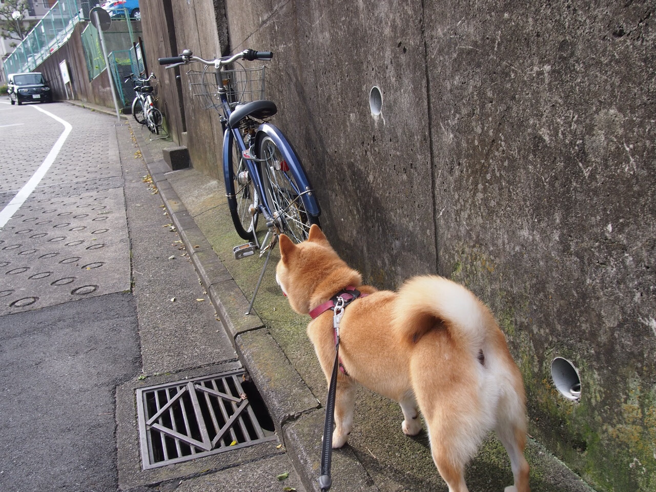 乒乓球大赛期间,选手的身体与心理挑战并存,乒乓球心态