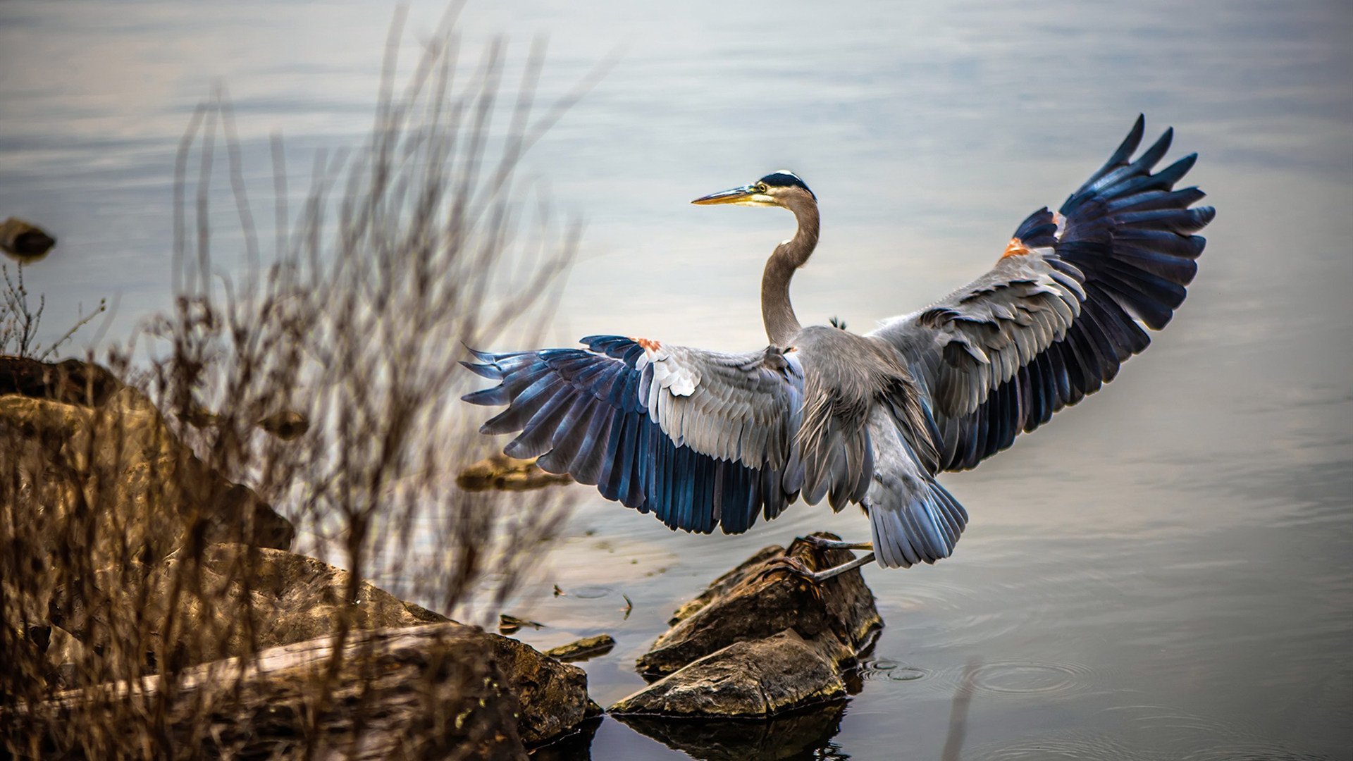 波兰乒乓队未来规划:通过精细化训练打造技术多样性,波兰乒乓球著名运动员