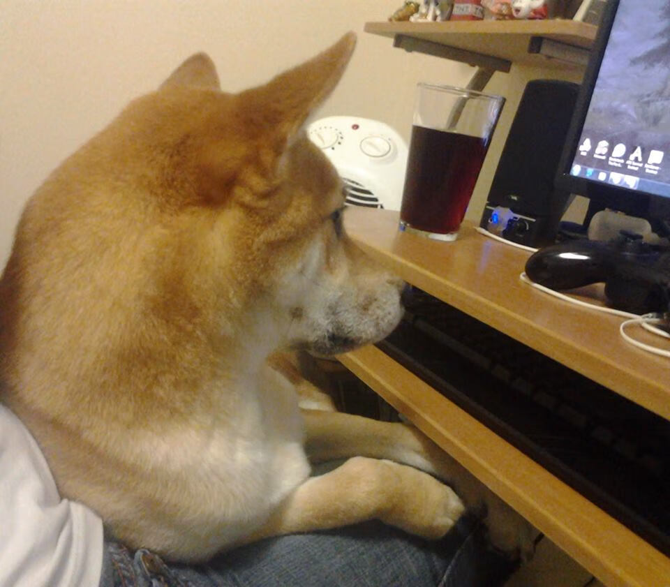 边锋内切是否成为战术进攻组织的常规环节,内切型边锋和伪边锋冲突吗