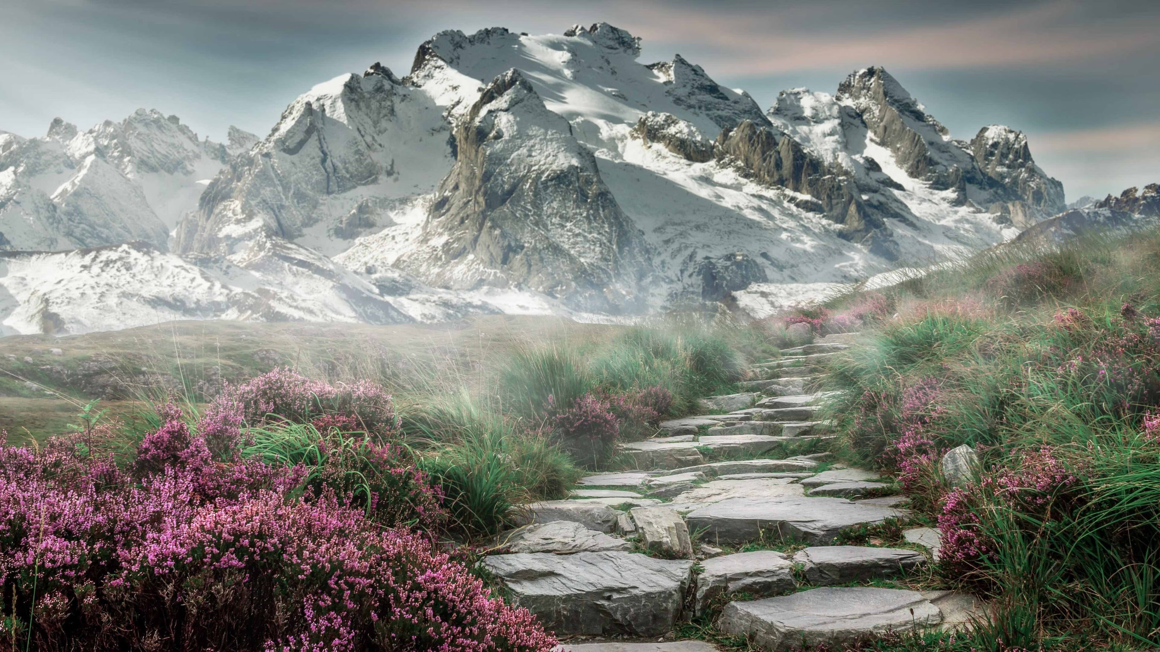 勇士后场组合配合训练展现高效率转换进攻,勇士队合练