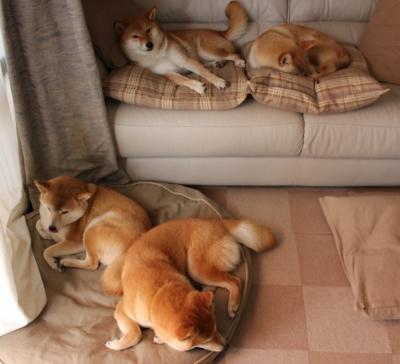 AYX SPORTS-场地湿滑造成传球失误教练组赛后提出提高环境适应能力，场地湿可以打网球吗