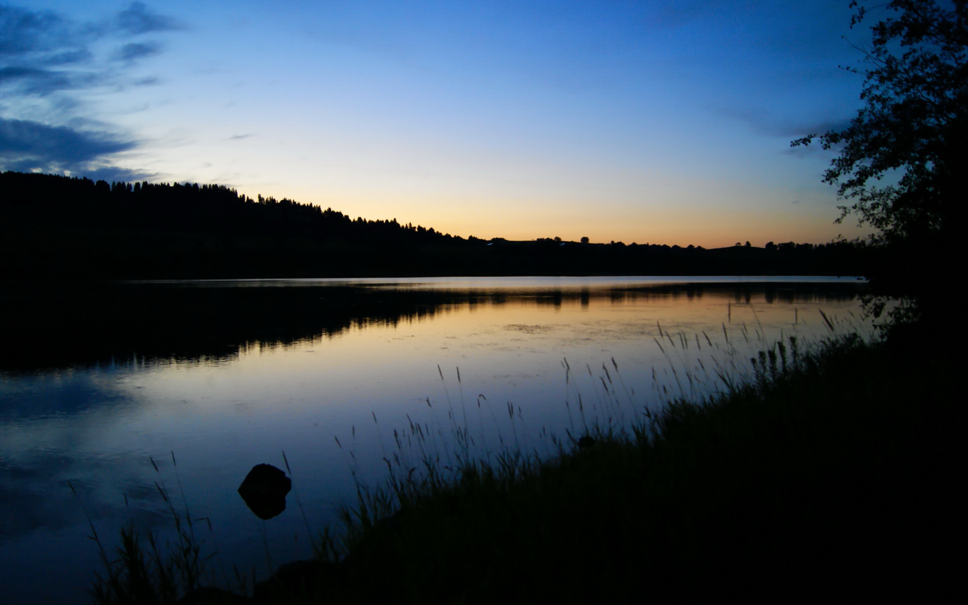 AYX GAME-奥尔韦拉3米跳板决赛展现精湛技术，2020奥运3米跳板