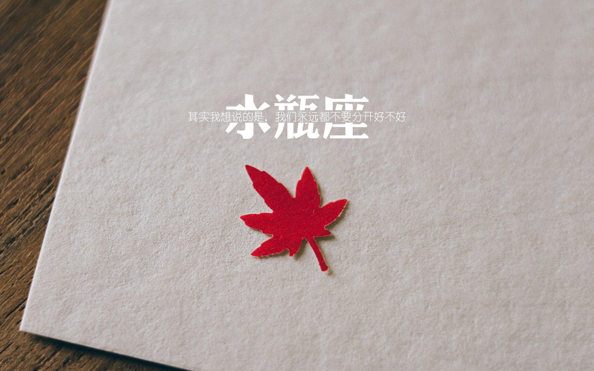 施瓦茨全程紧咬不放 展现比赛张力,施瓦茨是什么意思