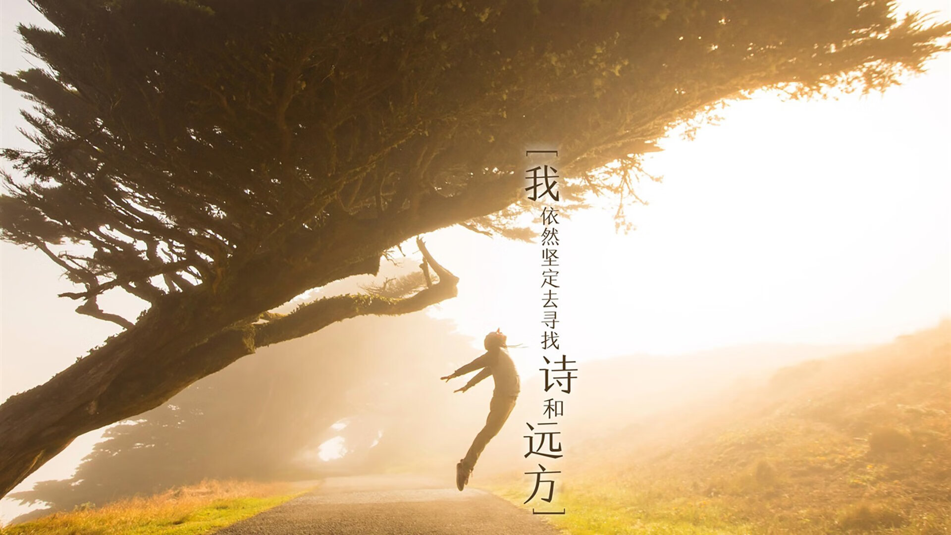 澳大利亚组合冲刺阶段技压群雄,澳大利亚powerball