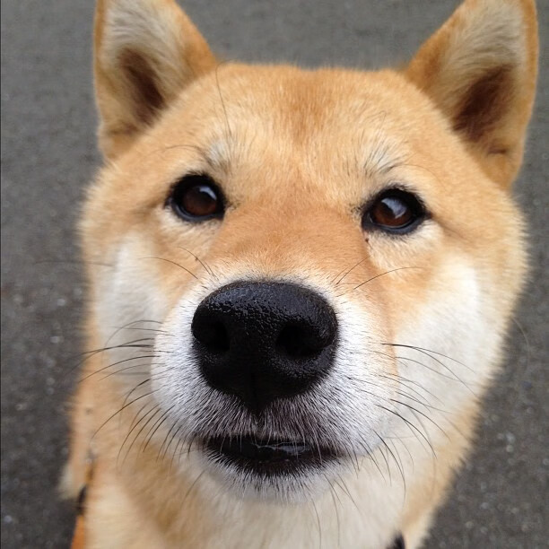 退役运动员转型教练助力篮球基层人才培养和推广,退役球员当教练